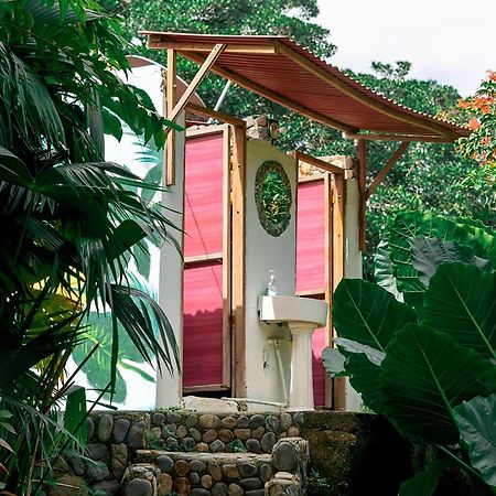 Magic Green Dentro Del Parque Tayrona 埃尔扎伊诺 外观 照片
