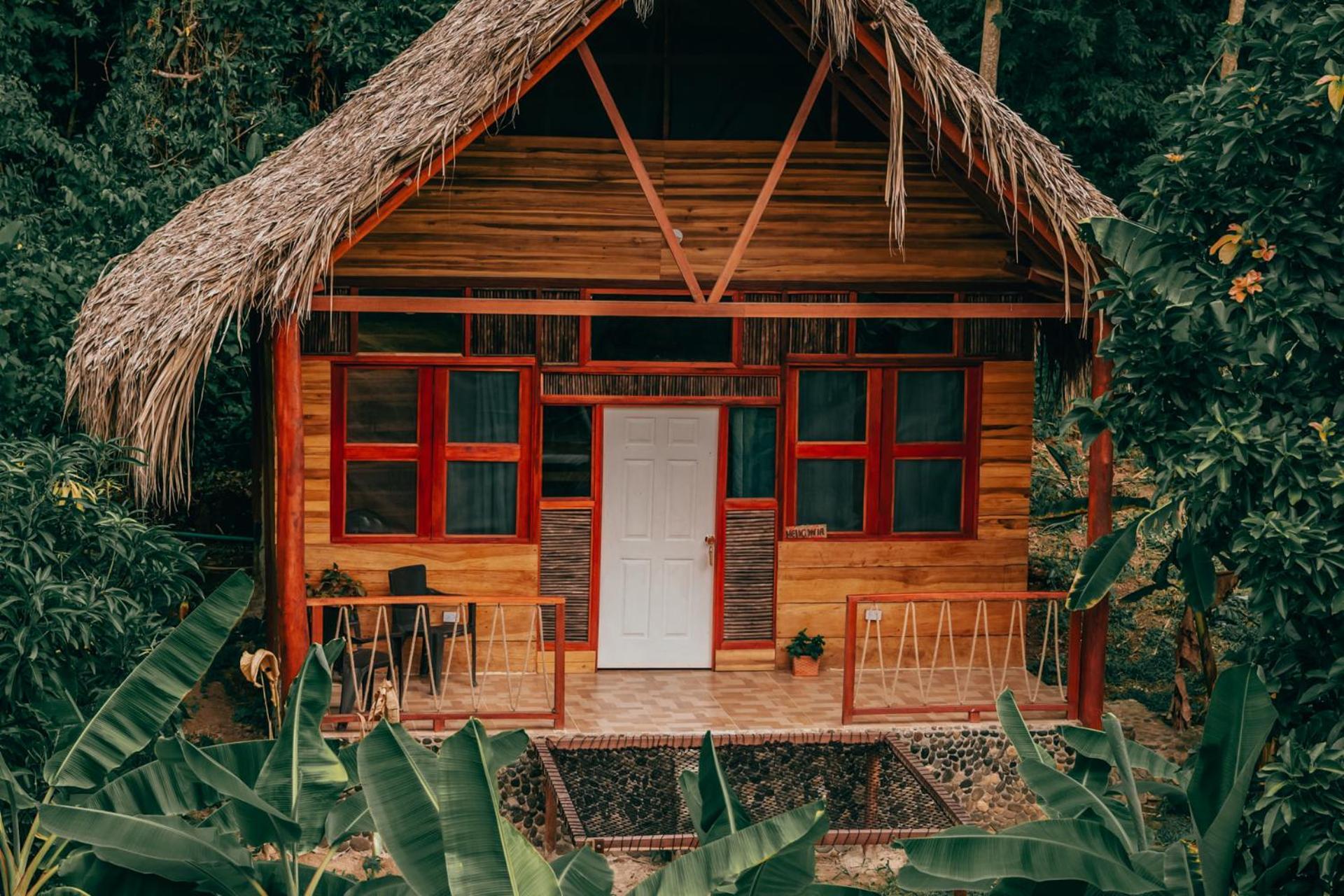 Magic Green Dentro Del Parque Tayrona 埃尔扎伊诺 外观 照片