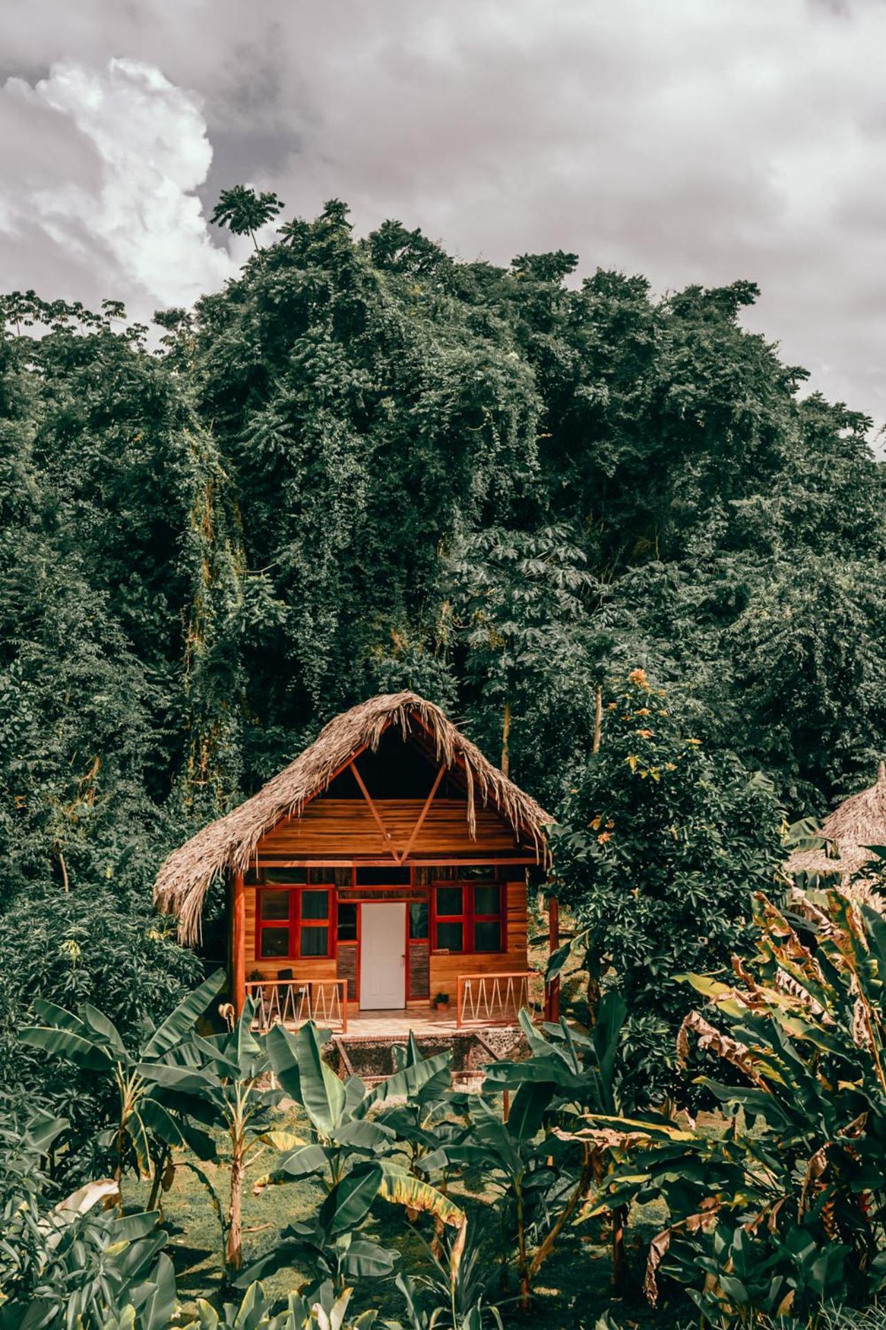 Magic Green Dentro Del Parque Tayrona 埃尔扎伊诺 外观 照片