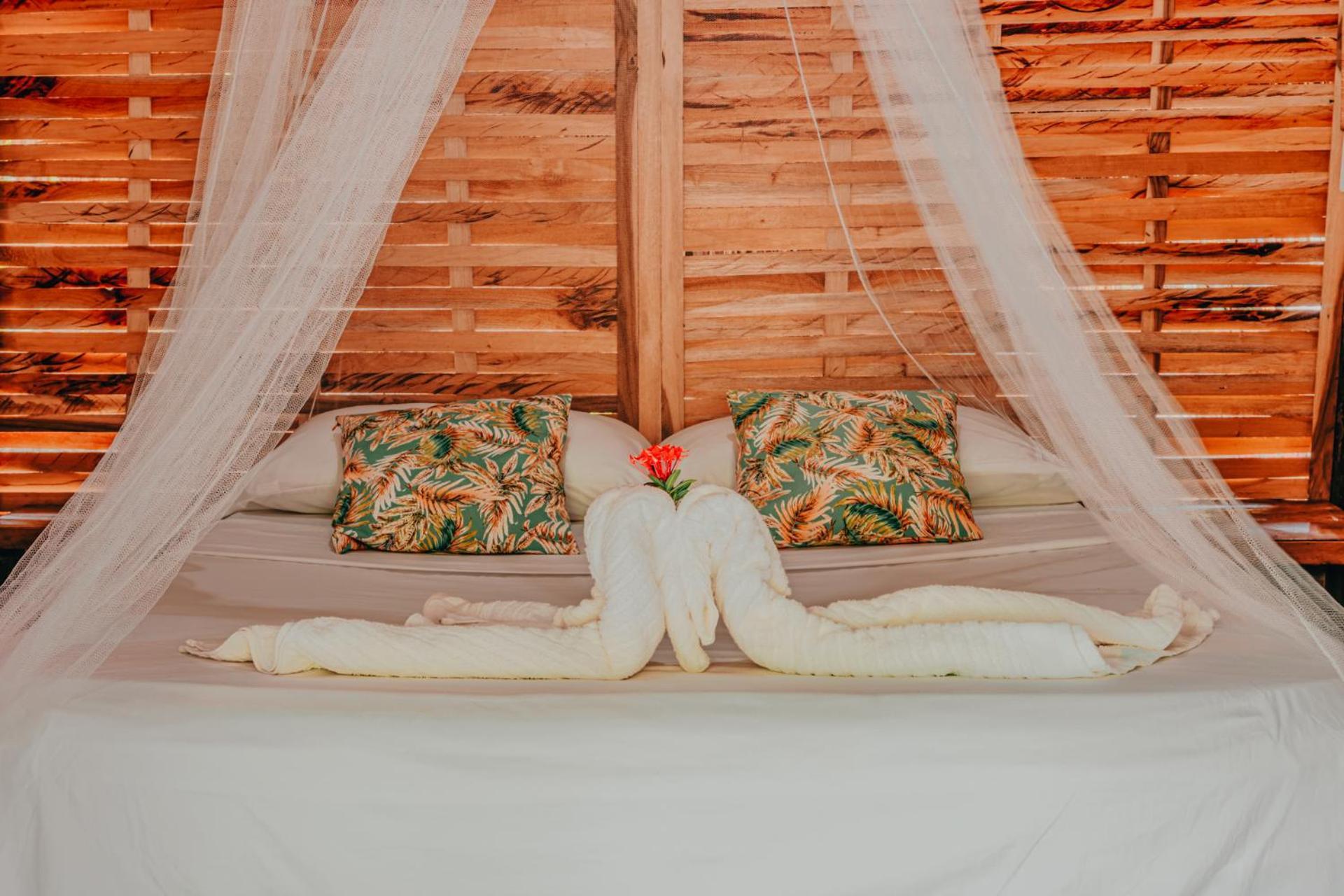 Magic Green Dentro Del Parque Tayrona 埃尔扎伊诺 外观 照片