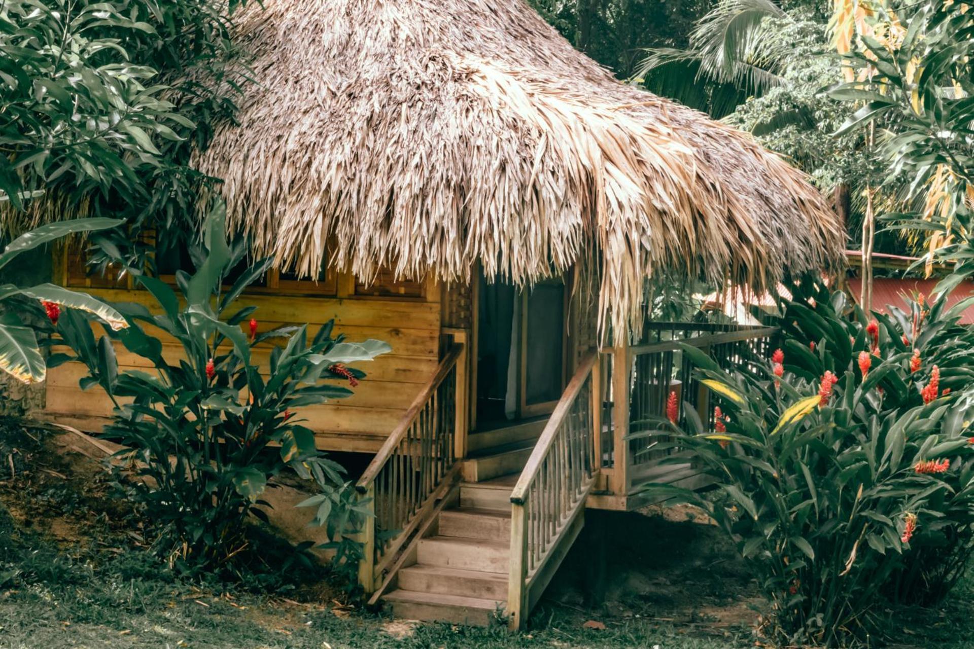 Magic Green Dentro Del Parque Tayrona 埃尔扎伊诺 外观 照片