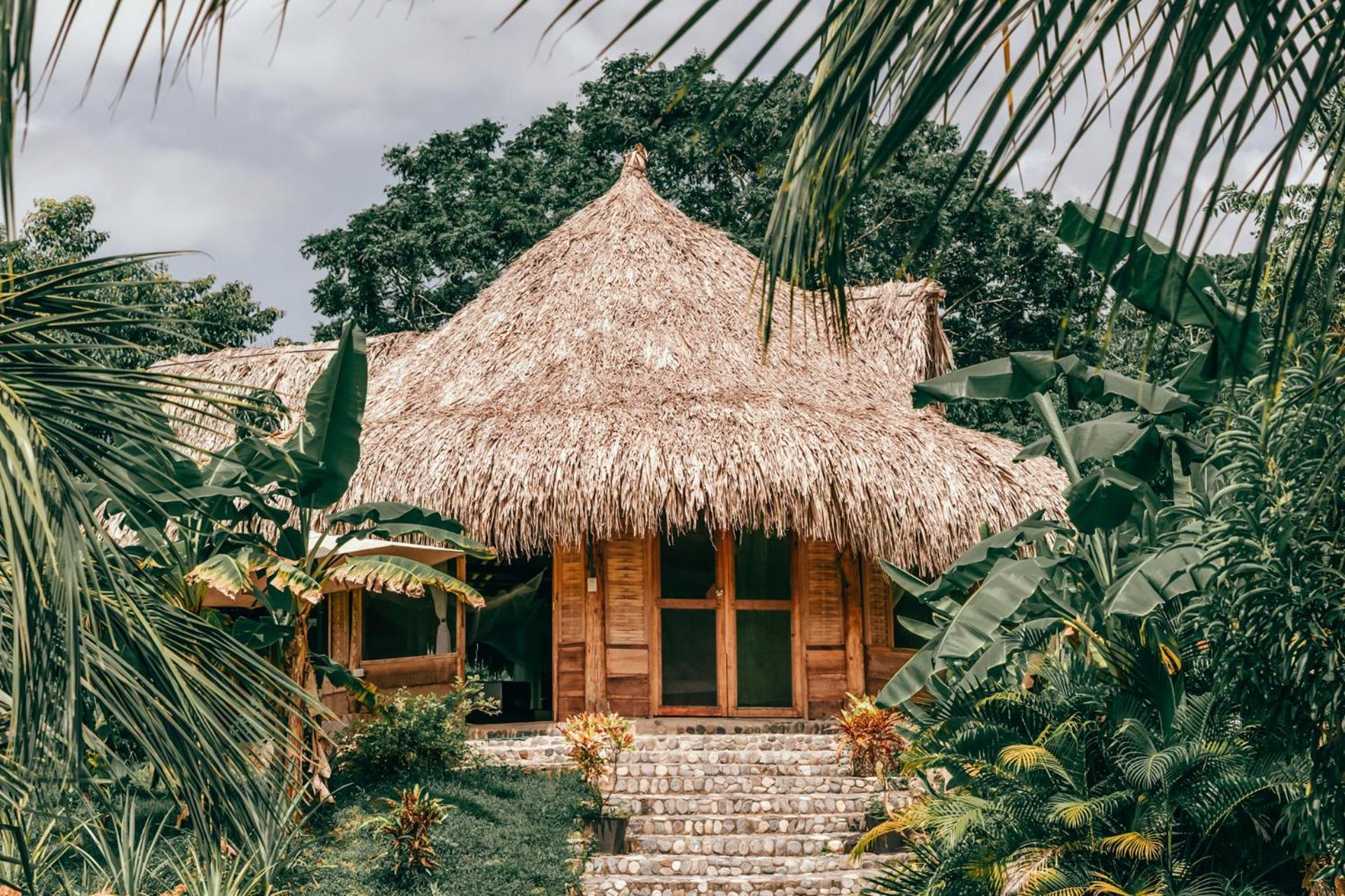Magic Green Dentro Del Parque Tayrona 埃尔扎伊诺 外观 照片