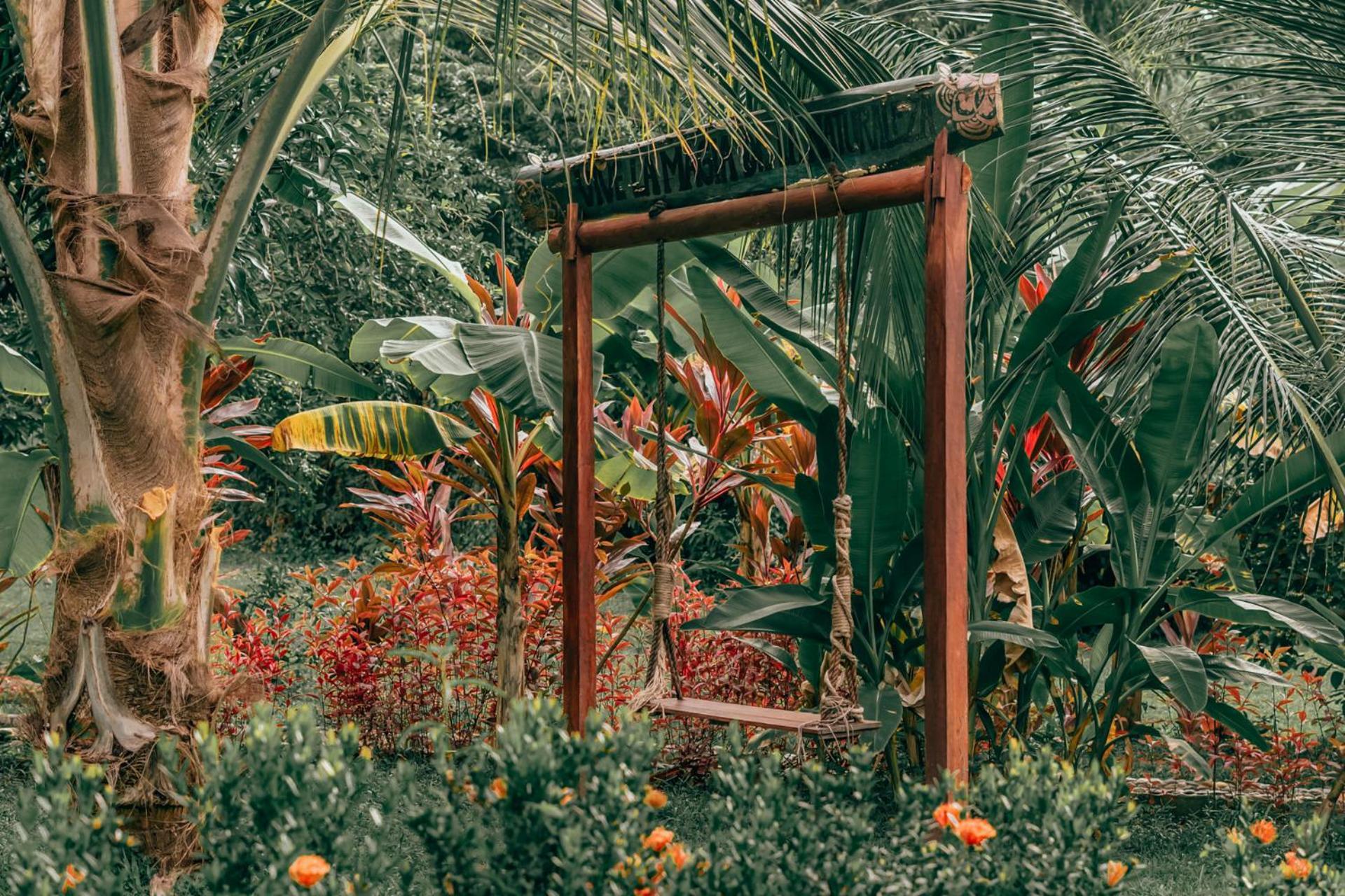 Magic Green Dentro Del Parque Tayrona 埃尔扎伊诺 外观 照片