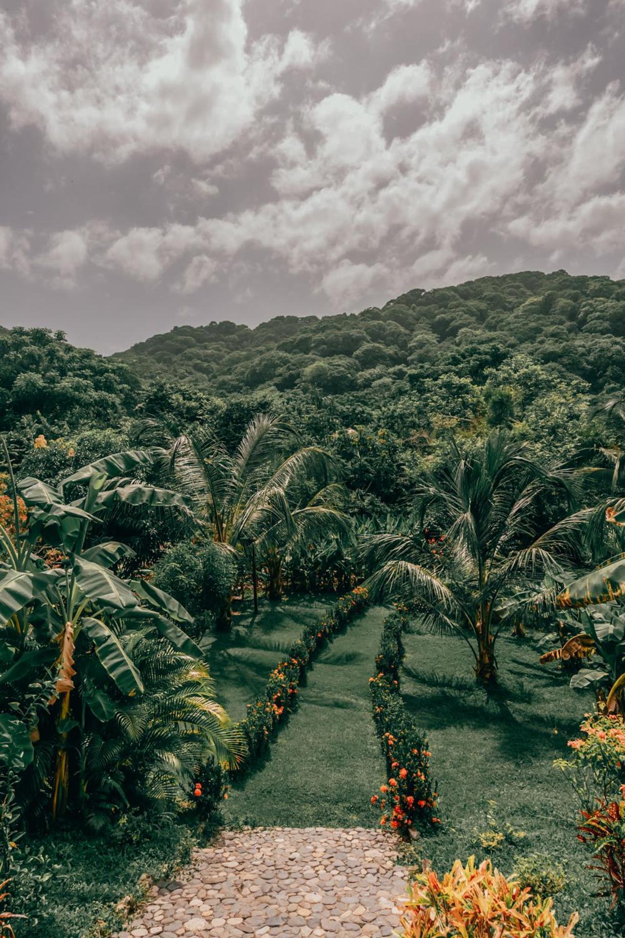 Magic Green Dentro Del Parque Tayrona 埃尔扎伊诺 外观 照片