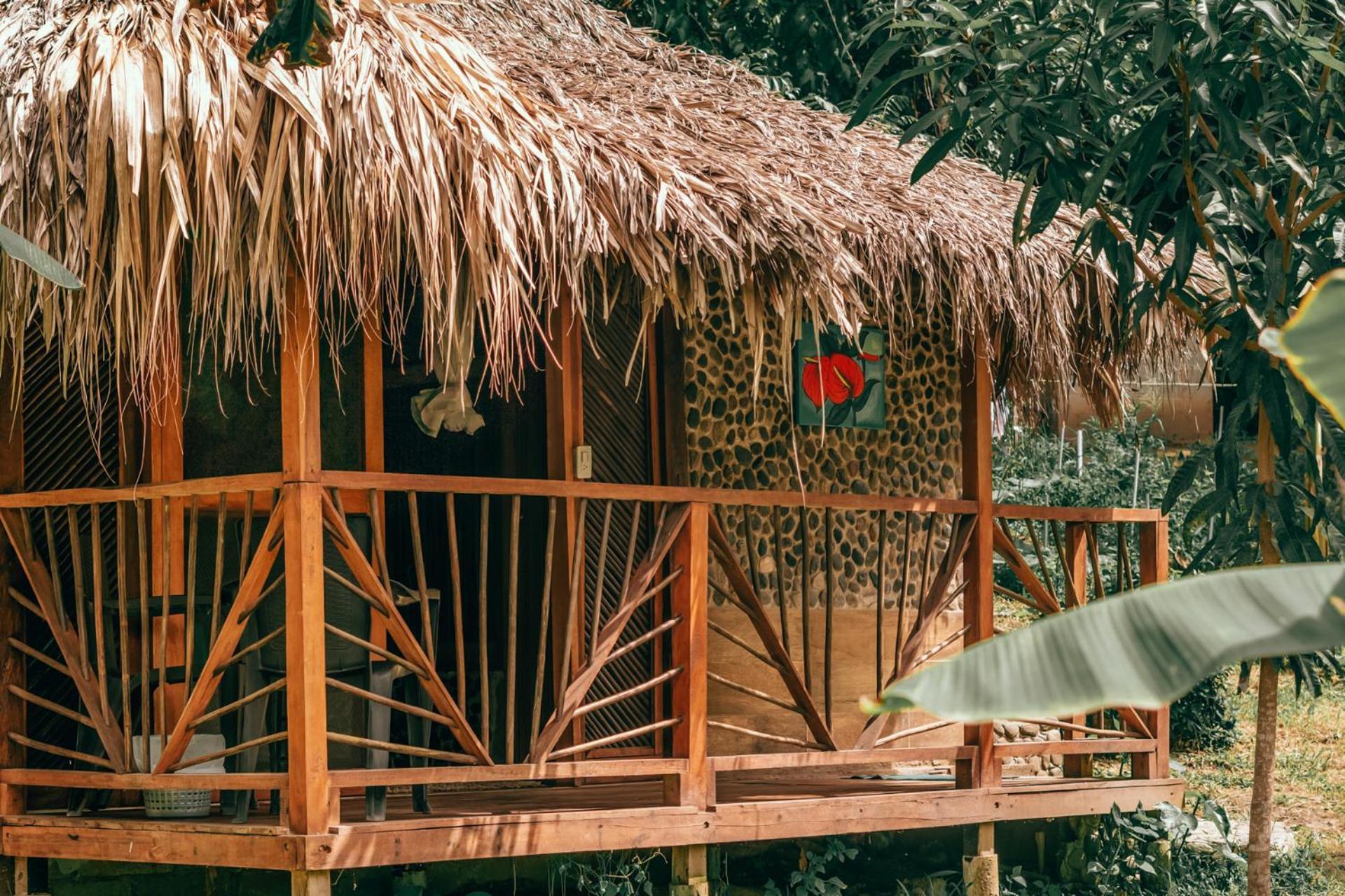 Magic Green Dentro Del Parque Tayrona 埃尔扎伊诺 外观 照片