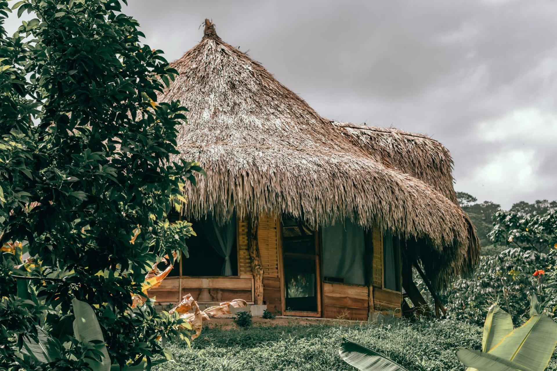Magic Green Dentro Del Parque Tayrona 埃尔扎伊诺 外观 照片