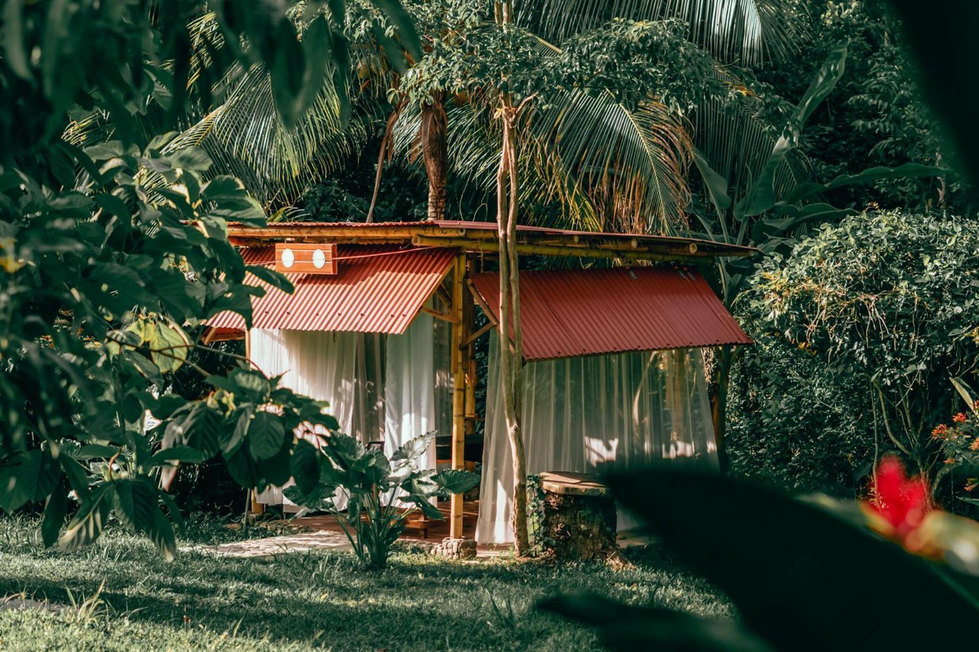 Magic Green Dentro Del Parque Tayrona 埃尔扎伊诺 外观 照片