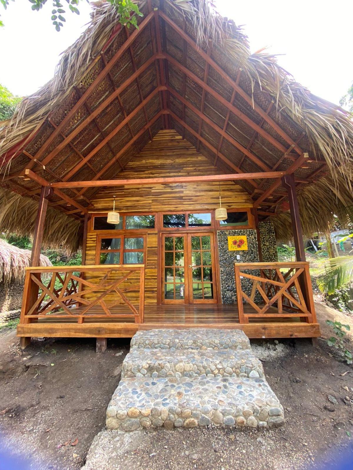 Magic Green Dentro Del Parque Tayrona 埃尔扎伊诺 外观 照片