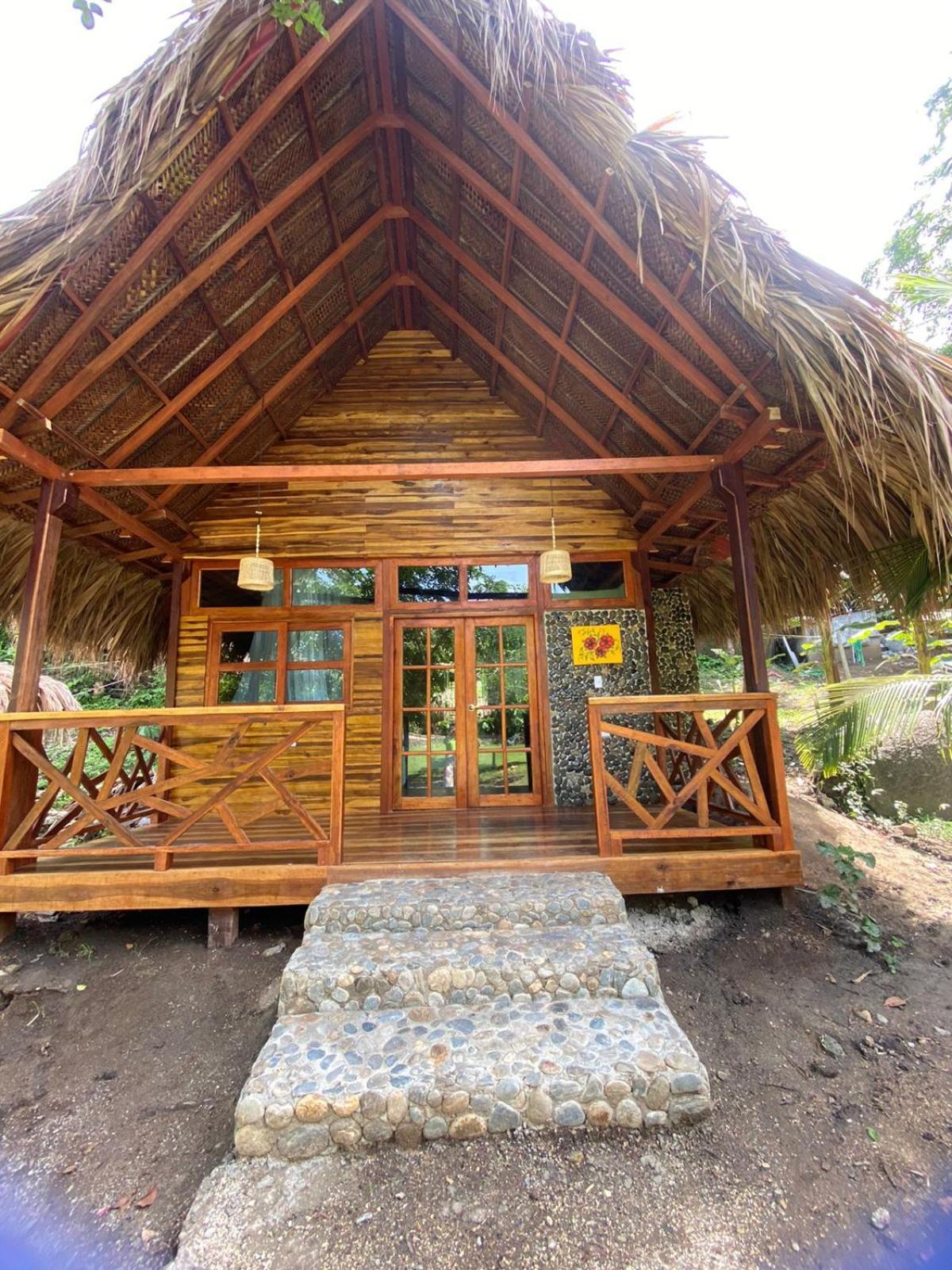 Magic Green Dentro Del Parque Tayrona 埃尔扎伊诺 外观 照片