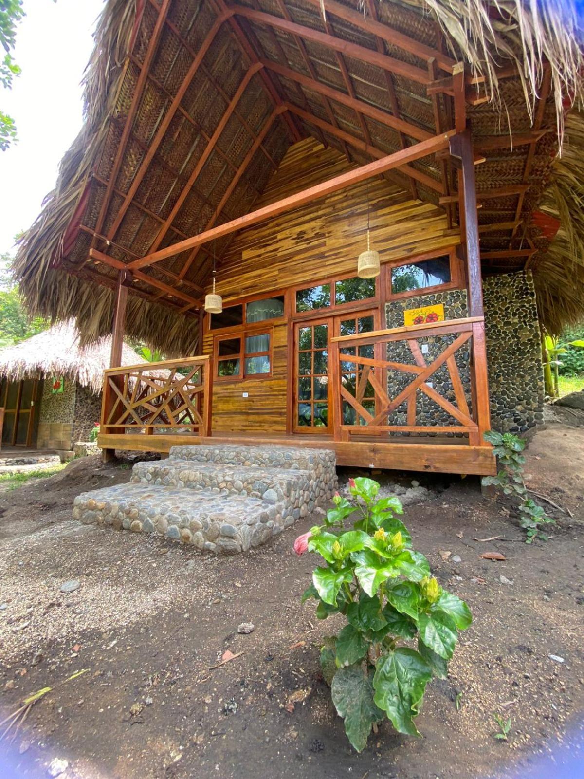 Magic Green Dentro Del Parque Tayrona 埃尔扎伊诺 外观 照片