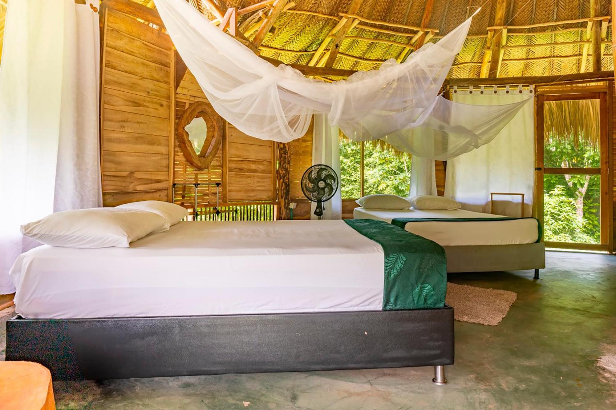 Magic Green Dentro Del Parque Tayrona 埃尔扎伊诺 外观 照片