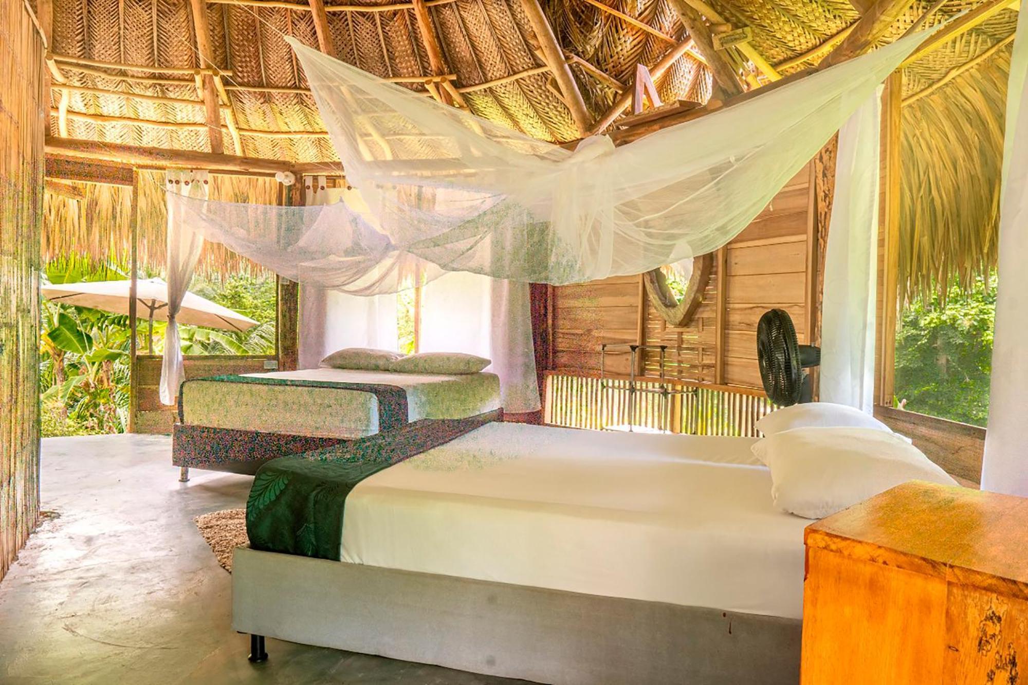 Magic Green Dentro Del Parque Tayrona 埃尔扎伊诺 外观 照片