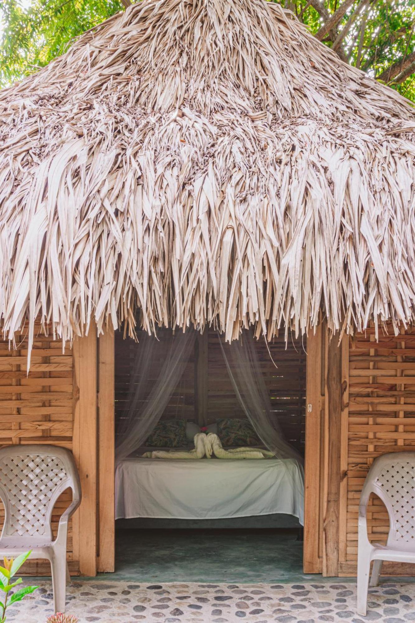 Magic Green Dentro Del Parque Tayrona 埃尔扎伊诺 外观 照片